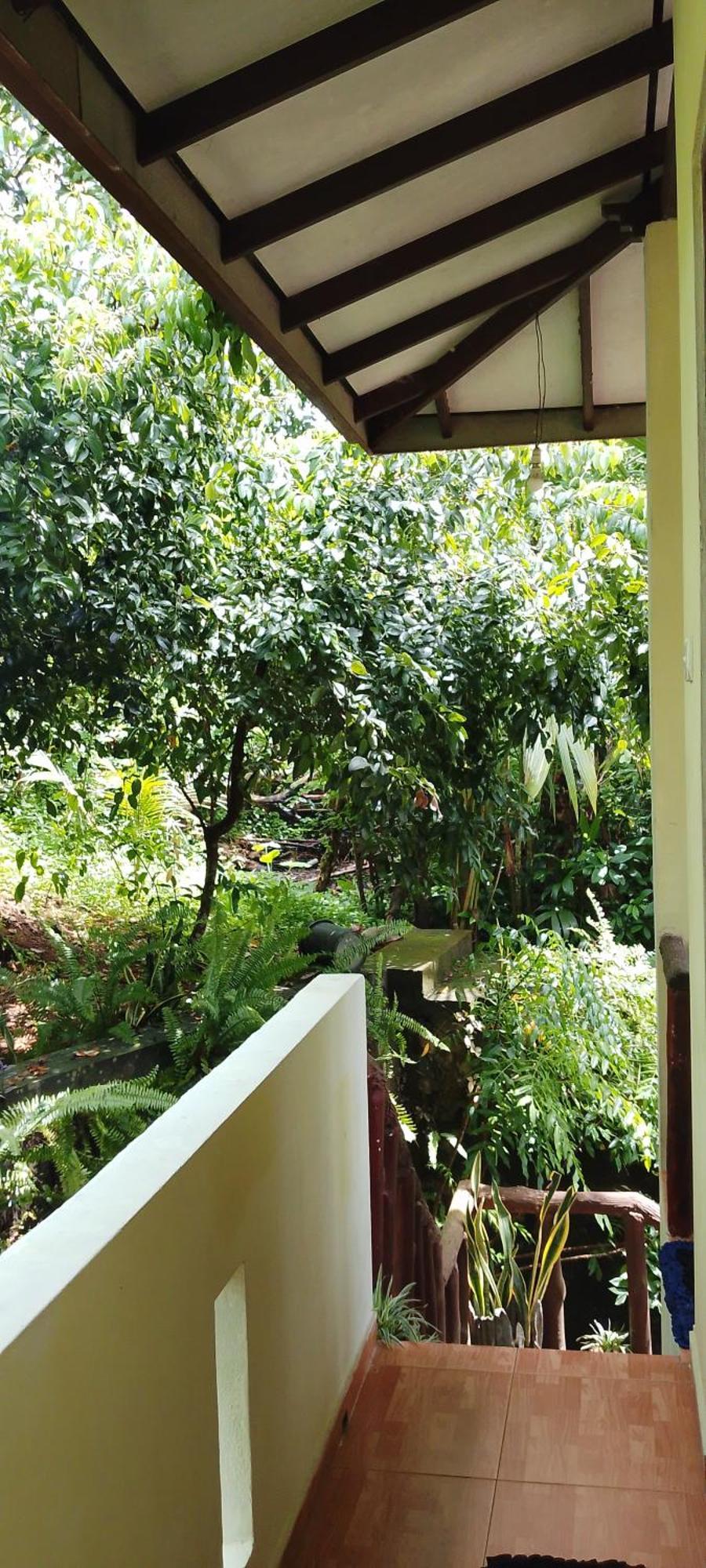 Ranga Villa Hikkaduwa Bilik gambar