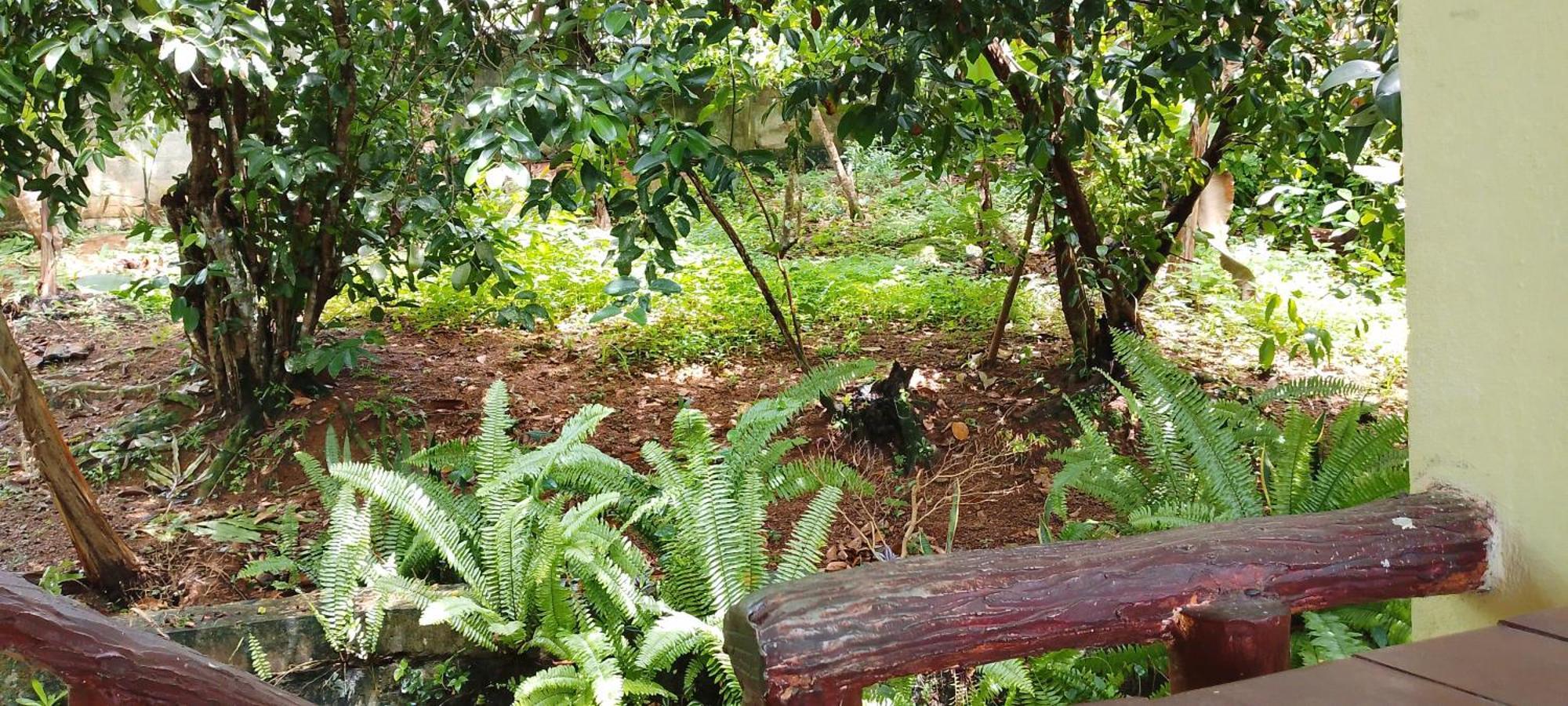 Ranga Villa Hikkaduwa Bilik gambar