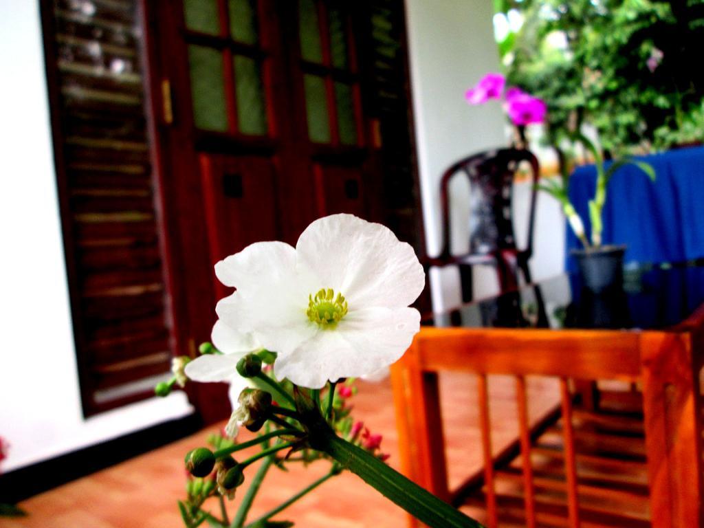 Ranga Villa Hikkaduwa Luaran gambar