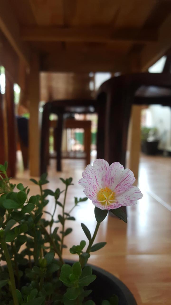 Ranga Villa Hikkaduwa Luaran gambar